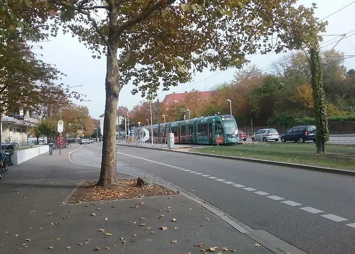 5 * Friburgo em Brisgóvia